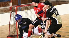 V �ANCI. Momentka z extraligového utkání �en mezi Jihlavou a �eskými