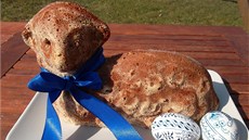 Beránek s kakaem a cuketou