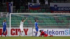 Slovinský fotbalista Zlatan Ljubijanki se raduje z gólu do sít Islandu v