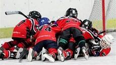 Radost hokejových �á�k� z gólu