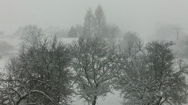 tramberk, severní Morava, okres Nový Jiín (31. bezna 2013).