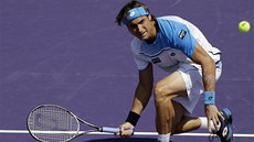 MÁM. David Ferrer ve finále turnaje v Miami proti Andy Murraymu.