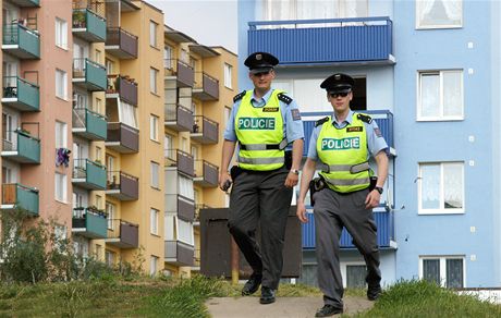 Policisté v Karlovarském kraji patí v odhalování zloinu k nejlepím v zemi. Ilustraní foto