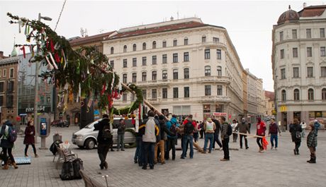 Mjku v Brn pomhali vztyit kandidti na krle majlesu se svmi pomocnky.