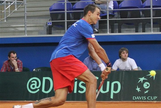 Luká Rosol v Davis Cupu