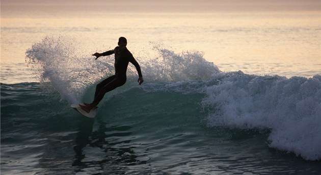 Australan se proháněl na surfu s krajtou. Od ochránců přírody dostal pokutu