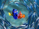Z filmu Hledá se Nemo