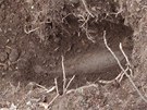 Dlostelecká mina leela v zemi tsn pod povrchem.