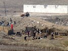 Severokorejtí zemdlci na poli tsn u hranice (5. dubna 2013).