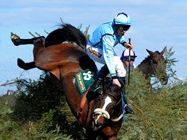 HOP. Ben Crawford skáe se svým konm Paddy Mourne bhem Fox Hunters'...