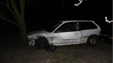 Zdrogovaný řidič havaroval na Vyškovsku do stromu. Nehodě předcházela honička s