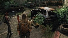 The Last of Us: Wasteland Beautiful