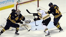 Bostonský úto�ník David Krej�í (v bílém) p�ekonává gólmana Ryana Millera  z