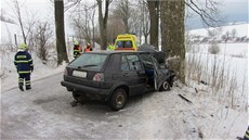 �idi� zem�el po nárazu do stromu mezi Bohda�ínem a Teplicemi nad Metují na