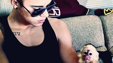Justin Bieber a opička Mally (31. března 2013)
