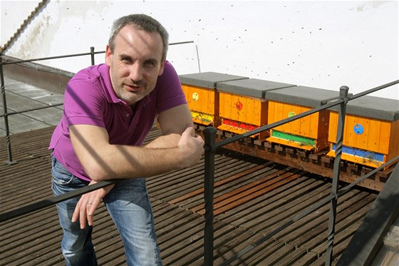Úředník Aleš Mikšátko se stará o čtyři včelstva na střeše historické radnice v