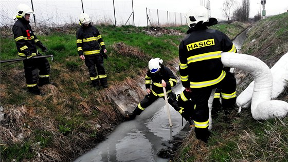 Hasii se ve stedu pokoueli páchnoucí sedimenty zneutralizovat vápnem. (ilustraní foto)