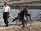 Severokorejtí vojáci na poli u ínských hranic (archivní snímek z roku 2011)