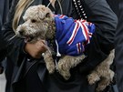 Stoupenkyn Margaret Thatcherové pihlíí se svým psem pohebnímu prvodu v