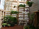 I na mstském balkon si mete díky rostlinám vytvoit píjemné zákoutí pro