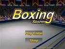 Boxing Storm