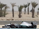 Lewis Hamilton pi tréninku na Velkou cenu Bahrajnu