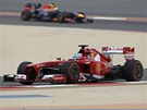 Fernando Alonso pi tréninku na Velkou cenu Bahrajnu