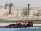 Sebastian Vettel pi tréninku na Velkou cenu Bahrajnu