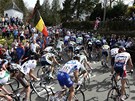 Cyklistický peloton stoupá na tzv. Ze, jede se do cíle jednorázového závodu