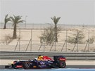 Sebastian Vettel z Red Bullu bhem tréninku na Velkou cenu Bahrajnu.