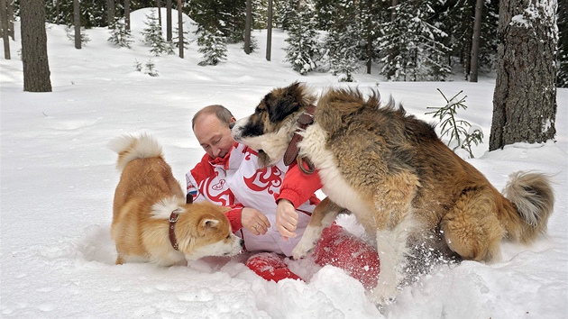 Vladimir Putin ven sv psy v zasnenm parku v Moskv. (10. dubna 2013)