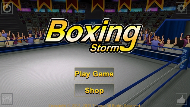 Boxing Storm