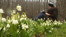 Bývalý u�itel na �eskolipské pr�myslovce Franti�ek Bolehovský sedí u bledulí v