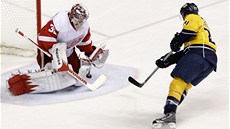 PAN NEPRSTELNÝ. Branká Detroitu Jimmy Howard udrel proti St. Louis isté