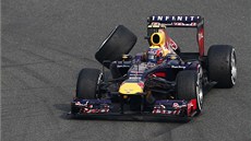 Mark Webber ze stáje Red Bull piel bhem Velké ceny F1 v ín o zadní kolo.