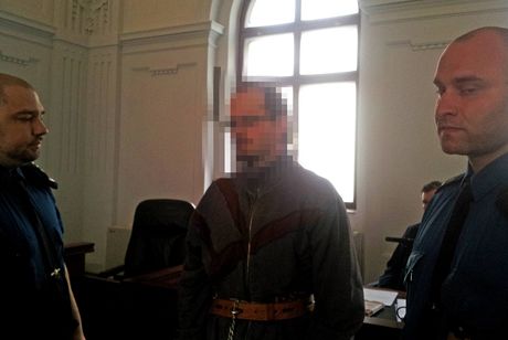 Recidivista ze Sokolova se nejprve zpovídal ped Krajským soudem v Plzni.