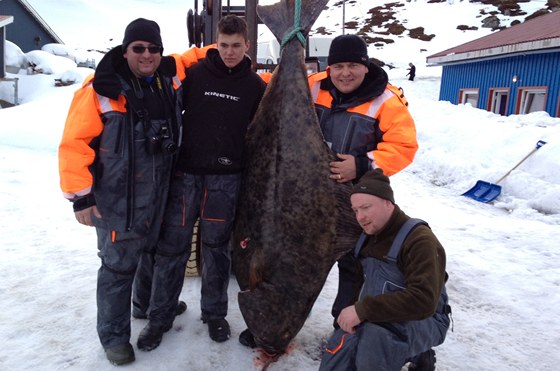 Rekordní úlovek halibuta z dubna 2013 ml délku 216 centimetr.