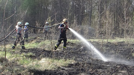 V Havíov-umbarku shoelo asi pt hektar lesa.