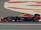ZA VÍTZSTVÍM. Sebastian Vettel na ele Velké ceny Bahrajnu.