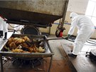 Na nákazu ptaí chipkou H7N9 v ín zemelo u 22 lidí (22. dubna)
