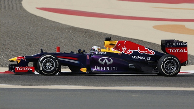 ZA VTZSTVM. Sebastian Vettel na ele Velk ceny Bahrajnu.