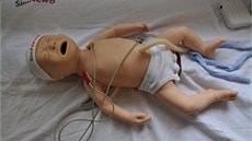SimNewB je jednoduí simulátor novorozence. Resuscitaních zásah na...