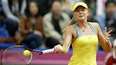 SLOVENSKÝ ÚSPCH. Daniela Hantuchová postoupila po 11 letech znovu do tvrtfinále US Open.