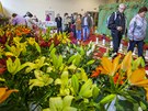 Ve výstavní hale je speciální expozice tulipán, narcis a lilií.