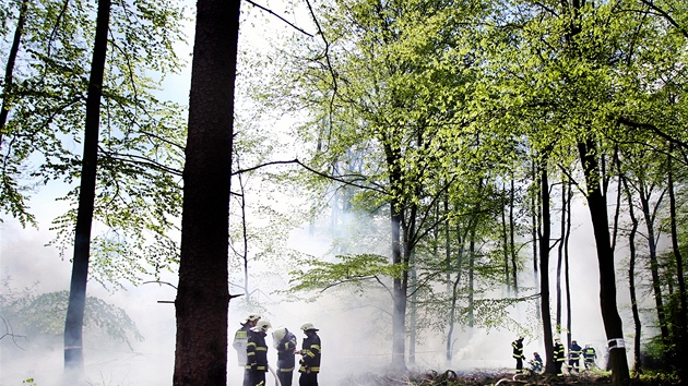 Taktick cvien zchran ve vojenskm prostoru Ddice (4. kvtna 2013)