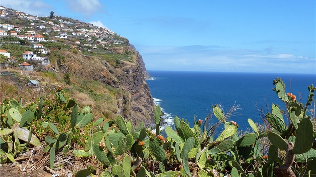 Madeira je tak velk. Ostrov m 57 kilometr jednm smrem a 22 tm druhm. tes je i vce ne kilometr vysok.