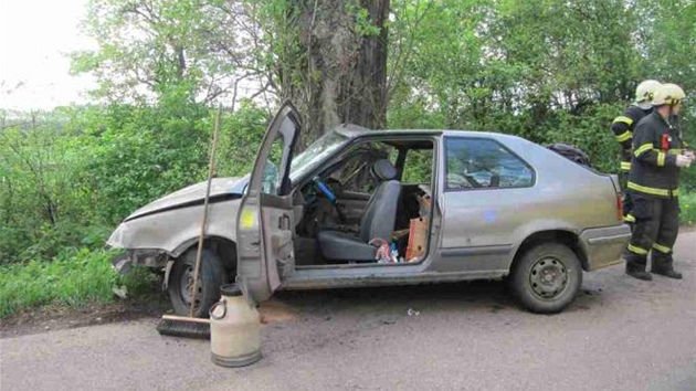 Auto mezi obcemi Smiice a ernoice narazilo do stromu u silnice.