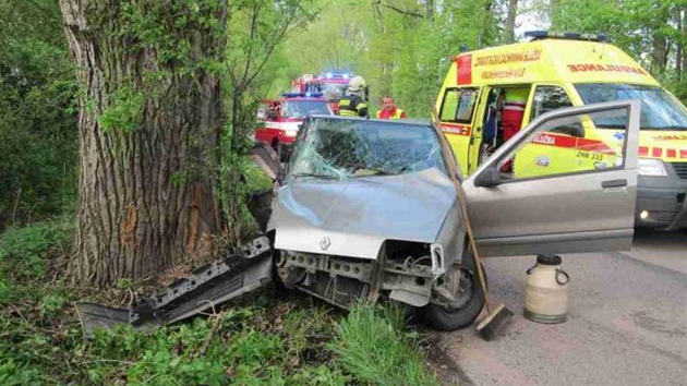 Auto mezi obcemi Smiice a ernoice narazilo do stromu u silnice.