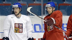 Čeští hokejisté na tréninku před úvodním utkání mistrovství světa s Běloruskem.