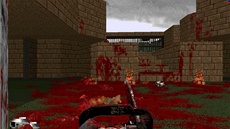 Brutal Doom